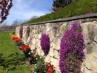 Hike through Lavaux April 12